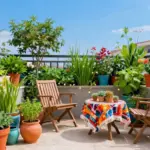 15 Terrace Garden Ideas for Small Spaces Without Soil Spills
